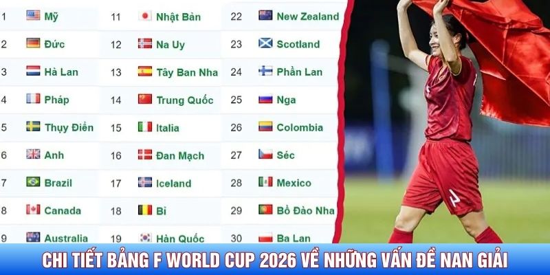 Chi tiết bảng F World Cup 2026 về các đội tuyển sáng giá